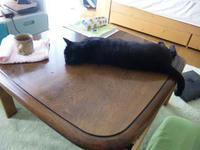 blog2009_8-24_2.jpg