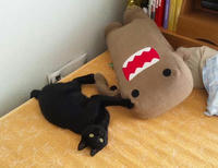 blog2009_8-24_4.jpg