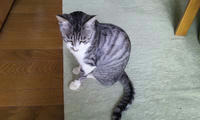 blog2009_8-27_1.jpg