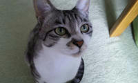 blog2009_8-27_2.jpg