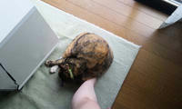 blog2009_8-30_1.jpg