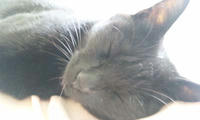 blog2009_8-30_2.jpg
