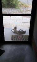 blog2009_8-30_3.jpg