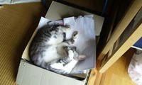 blog2009_8-30_4.jpg