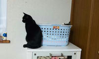 blog2009_9-29_2.jpg