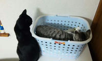 blog2009_9-29_3.jpg