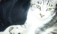 blog2009_9-15_3.jpg