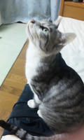 blog2009_9-30_1.jpg