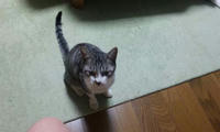 blog2009_9-30_3.jpg