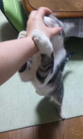 blog2009_9-30_4.jpg