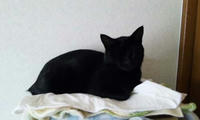 blog2009_9-30_5.jpg