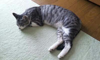 blog2009_9-30_6.jpg