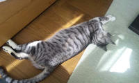 blog2009_10-11_6.jpg