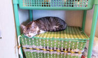 blog2009_10-11_7.jpg