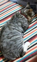 blog2009_10-11_8.jpg