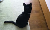 blog2009_10-16_3.jpg