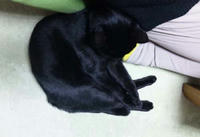 blog2009_10-17_1.jpg