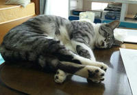 blog2009_10-22_3.jpg