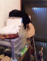 blog2009_10-22_5.jpg