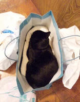 blog2009_10-22_6.jpg