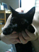 blog2009_10-26_3.jpg