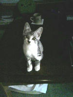 blog2009_10-26_5.jpg