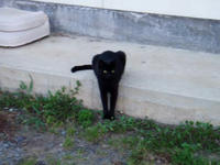 blog2009_10-28_2.jpg