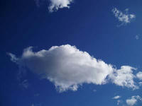 blog2009_10-28_3.jpg