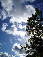 blog2009_10-28_4.jpg