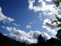 blog2009_10-28_5.jpg