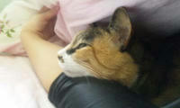 blog2009_11-17_1.jpg