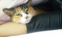 blog2009_11-17_2.jpg