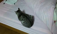 blog2009_11-17_3.jpg
