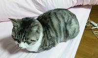 blog2009_11-17_4.jpg