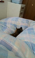 blog2009_11-27_1.jpg