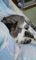 blog2009_11-27_2.jpg