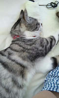 blog2009_11-27_4.jpg