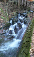 blog2009_11-26_3.jpg