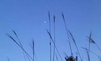 blog2009_11-26_4.jpg