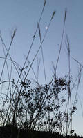blog2009_11-26_5.jpg