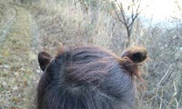 blog2009_11-26_6.jpg