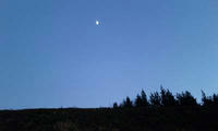 blog2009_11-26_9.jpg