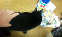 blog2009_11-27_5.jpg