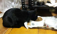 blog2009_11-27_6.jpg