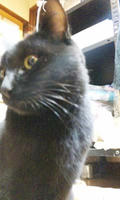 blog2009_11-27_7.jpg