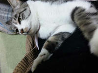 blog2009_12-6_4.jpg