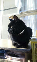 blog2009_12-20_3.jpg