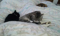 blog2009_12-23_1.jpg