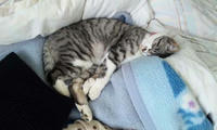 blog2009_12-23_4.jpg
