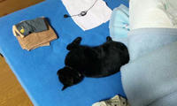 blog2009_12-23_5.jpg